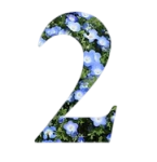 Captura de pantalla 2025-04-10 123237-Photoroom